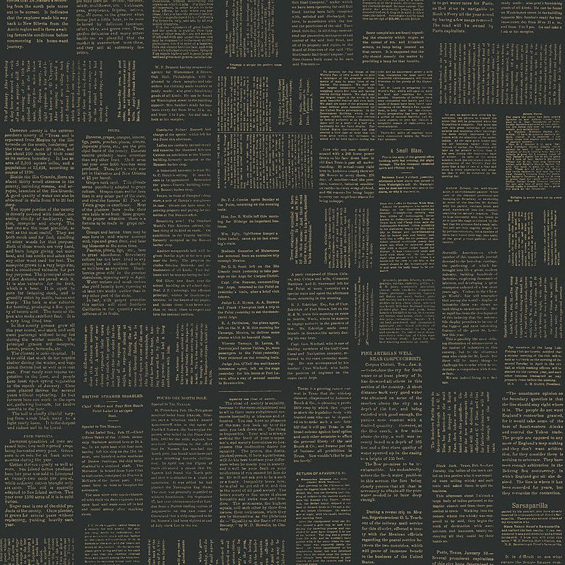 Wallpaper Crafted Editorial Wallpaper Sample // Black & Gold Metallic 8 x 10 