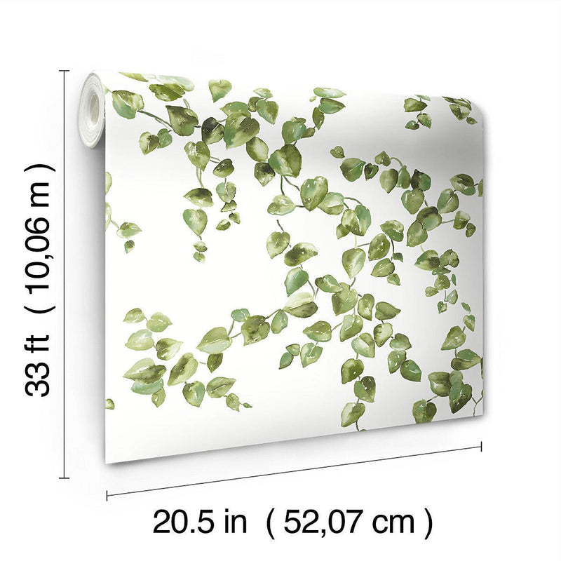 Wallpaper Creeping Fig Vine Wallpaper // Green 