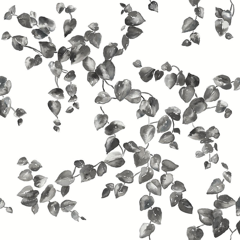 Wallpaper Creeping Fig Vine Wallpaper Sample // Black & White 8 x 10 