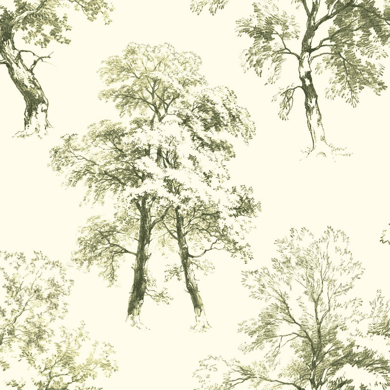 Wallpaper Deciduous Wallpaper Sample // Green & White 8 x 10 