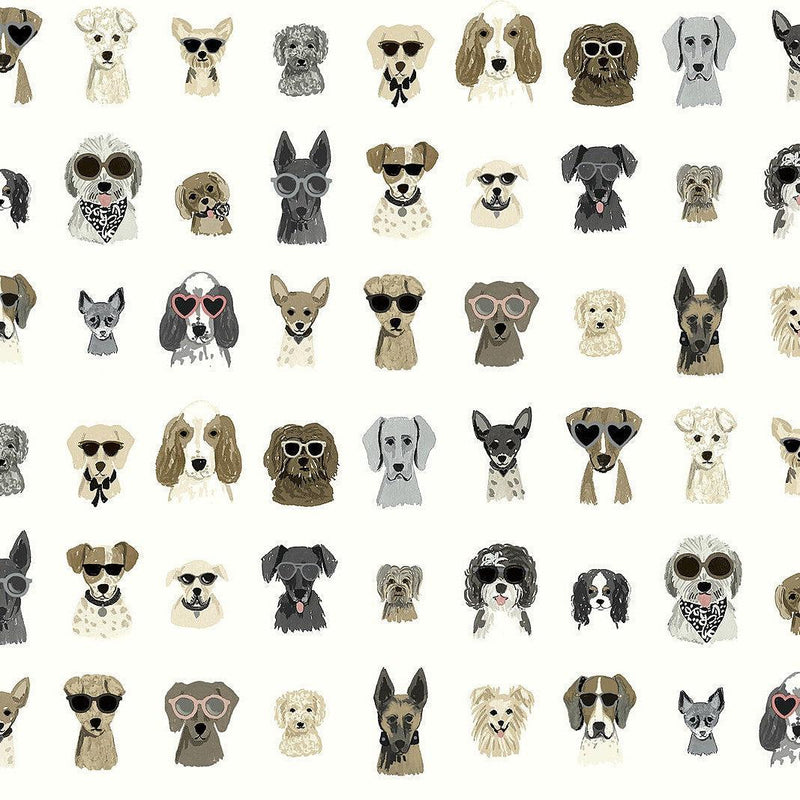 Wallpaper Dog Days Peel & Stick Wallpaper Sample // Grey 8 x 10 