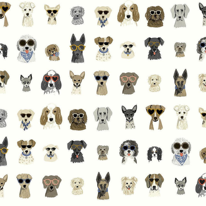 Wallpaper Dog Days Peel & Stick Wallpaper Sample // Multi White 8 x 10 