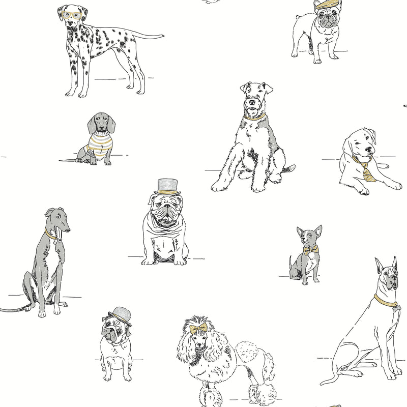 Wallpaper Dog's Life Peel & Stick Wallpaper Sample // Silver & Gold 8 x 10 