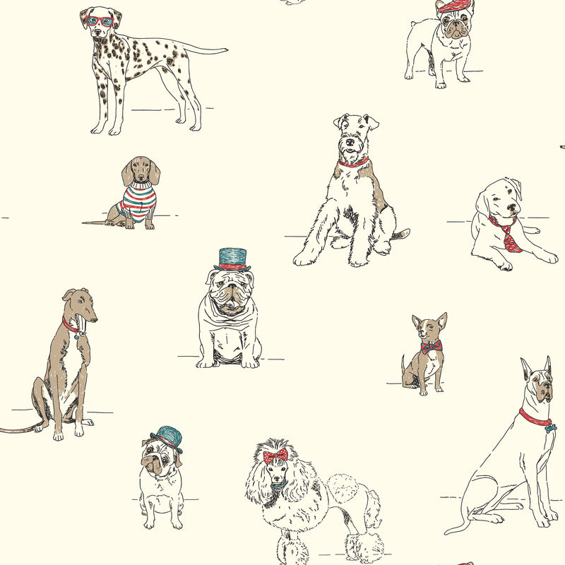 Wallpaper Dog's Life Wallpaper Sample // Red & Blue 8 x 10 