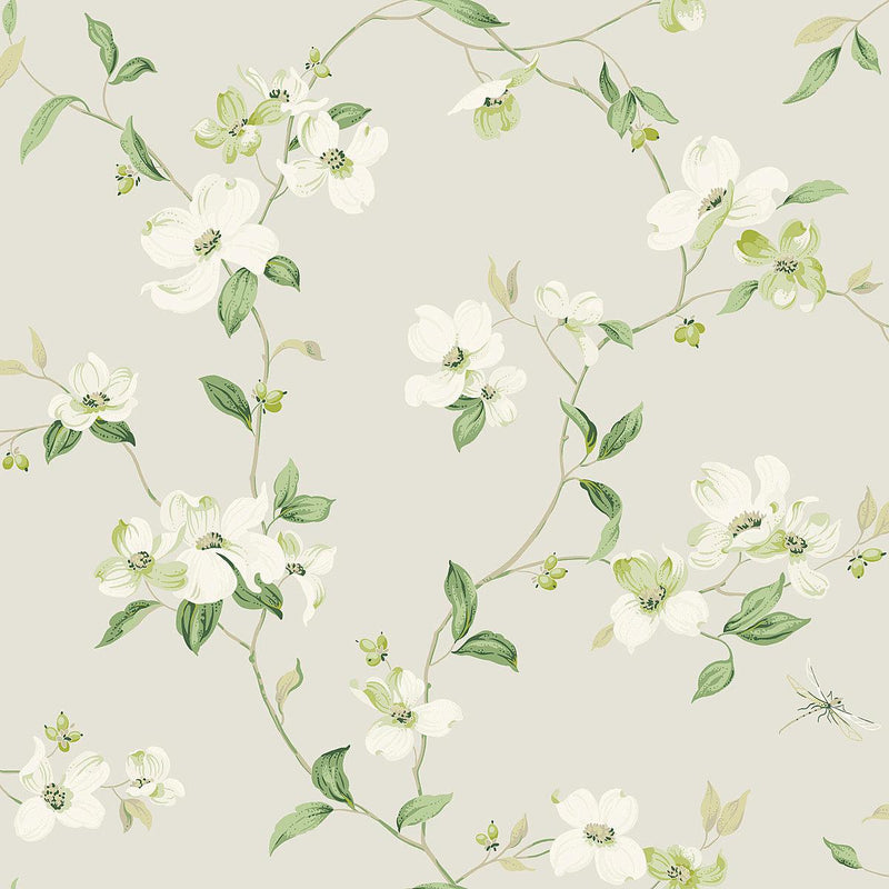 Wallpaper Dogwood Wallpaper Sample // Light Grey 8 x 10 