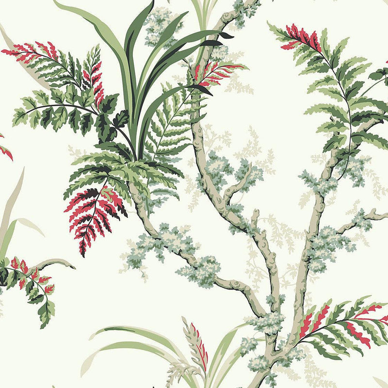 Wallpaper Enchanted Fern Wallpaper Sample // Green & Red 8 x 10 