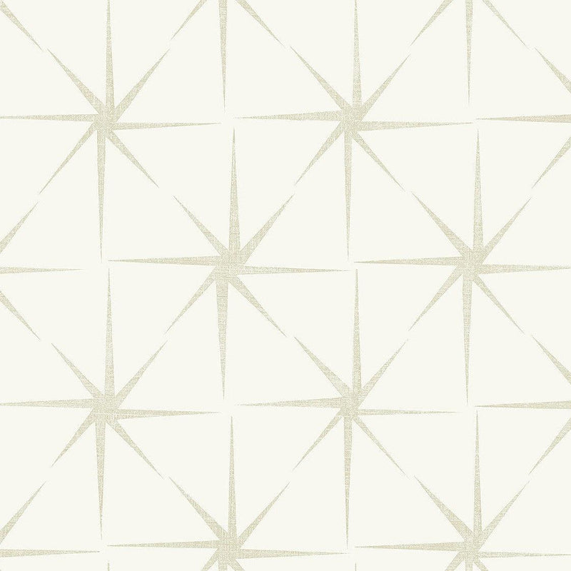 Wallpaper Evening Star Wallpaper Sample // Pearl 8 x 10 