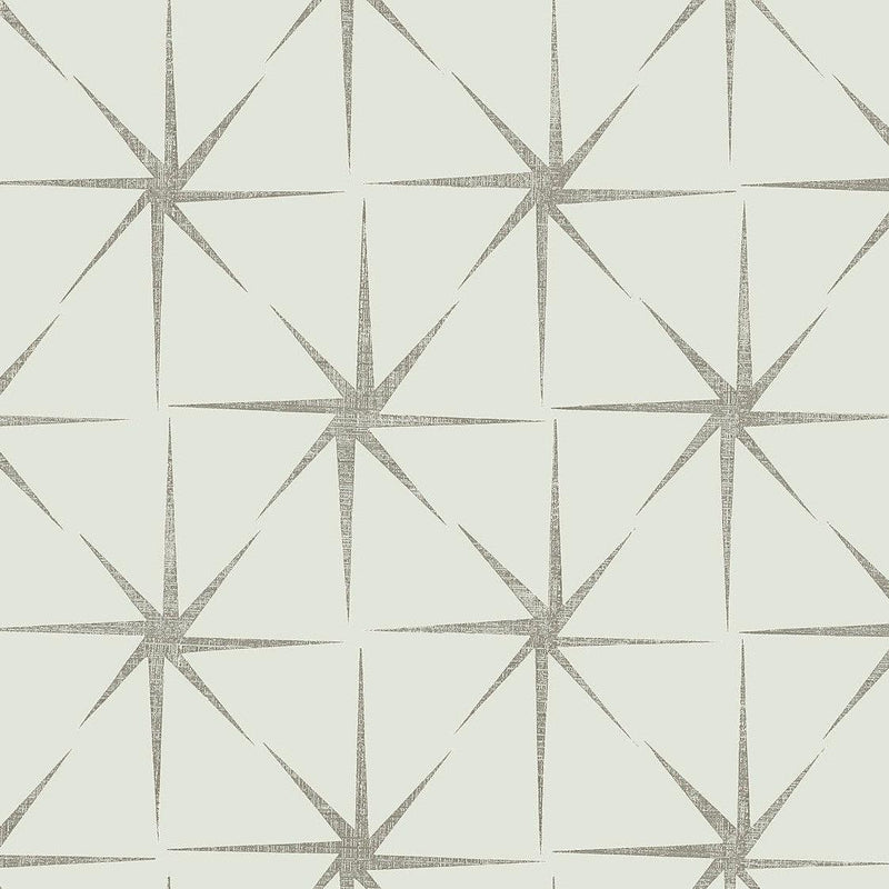 Wallpaper Evening Star Wallpaper Sample // Silver 8 x 10 