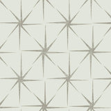 Wallpaper Evening Star Wallpaper // Silver 