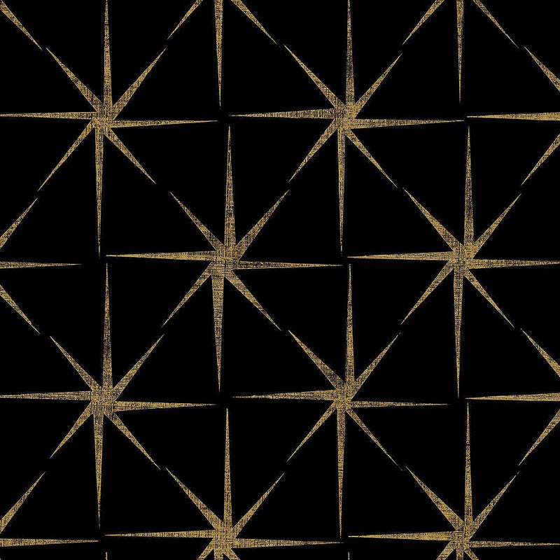 Wallpaper Evening Stars Wallpaper Sample // Black 8 x 10 