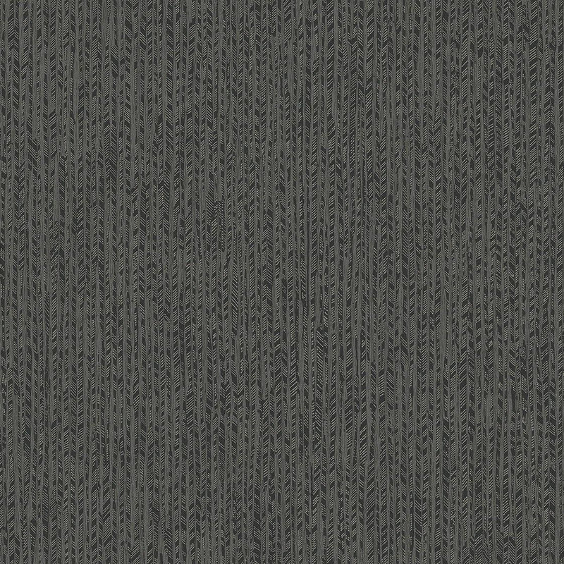 Wallpaper Feather Fletch Wallpaper Sample // Black 8 x 10 