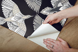 Wallpaper Feather Flight Peel & Stick Wallpaper // Black 