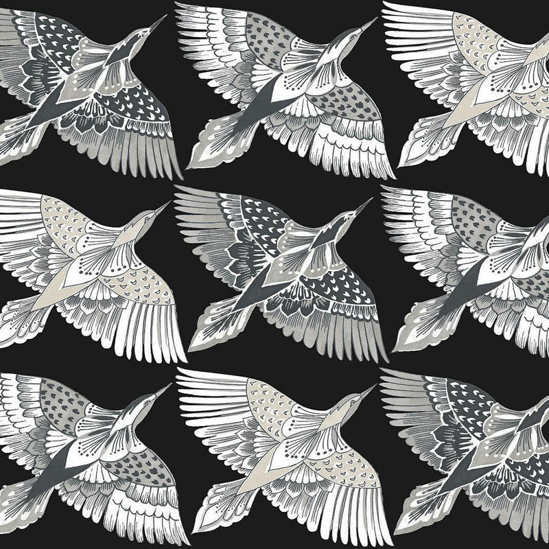 Wallpaper Feather Flight Peel & Stick Wallpaper Sample // Black 8 x 10 