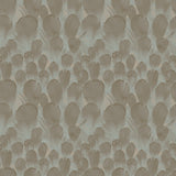 Wallpaper Feathers Wallpaper // Brown & Turquoise 