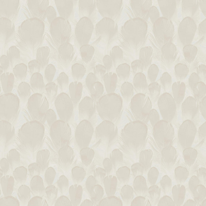 Wallpaper Feathers Wallpaper Sample // Cream 8 x 10 
