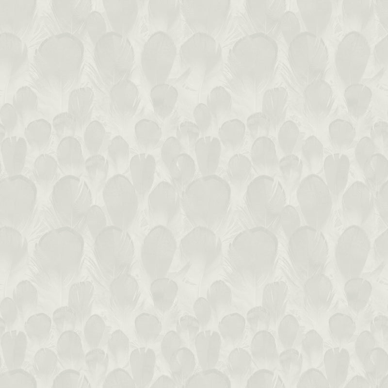 Wallpaper Feathers Wallpaper Sample // White 8 x 10 