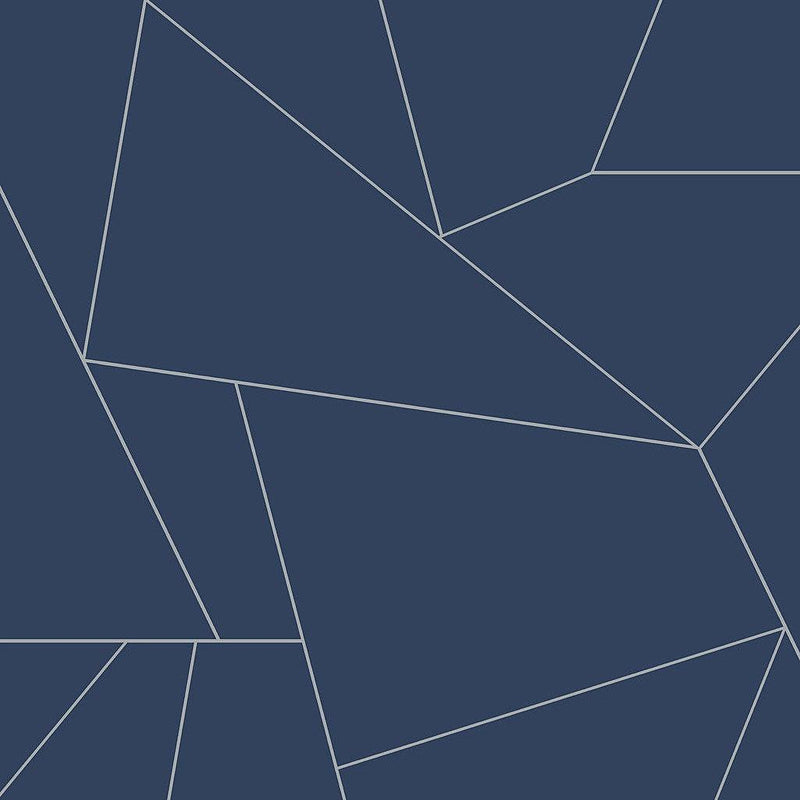 Wallpaper Fractured Prism Peel & Stick Wallpaper Sample // Blue & White 8 x 10 