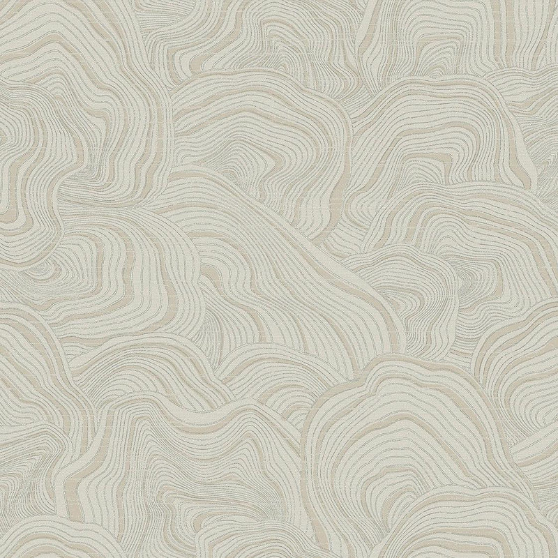 Wallpaper Geodes Wallpaper Sample // Taupe 8 x 10 