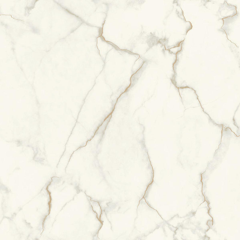 Wallpaper Gilded Marble Wallpaper Sample // Grey & Gold 8 x 10 