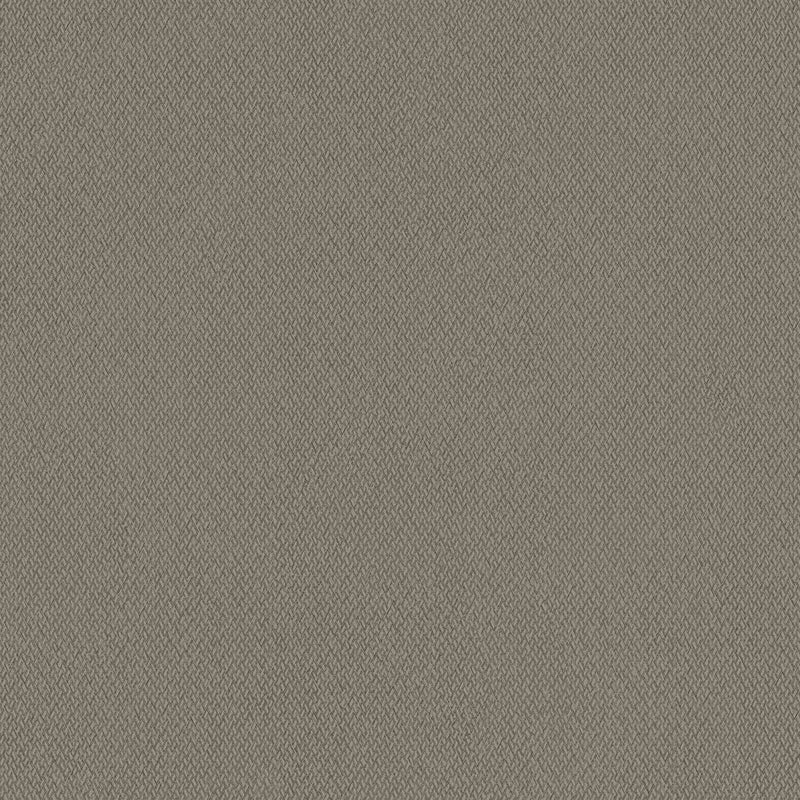Wallpaper Give & Take Wallpaper Sample // Brown 8 x 10 