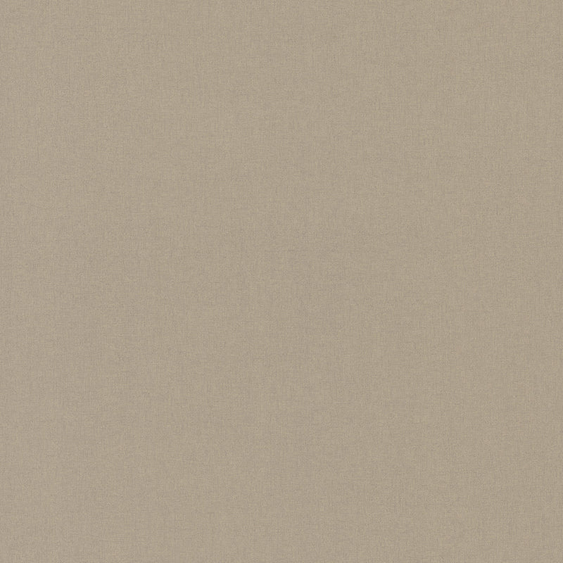 Wallpaper Gypsy Weave Wallpaper Sample // Beige & Brown 8 x 10 