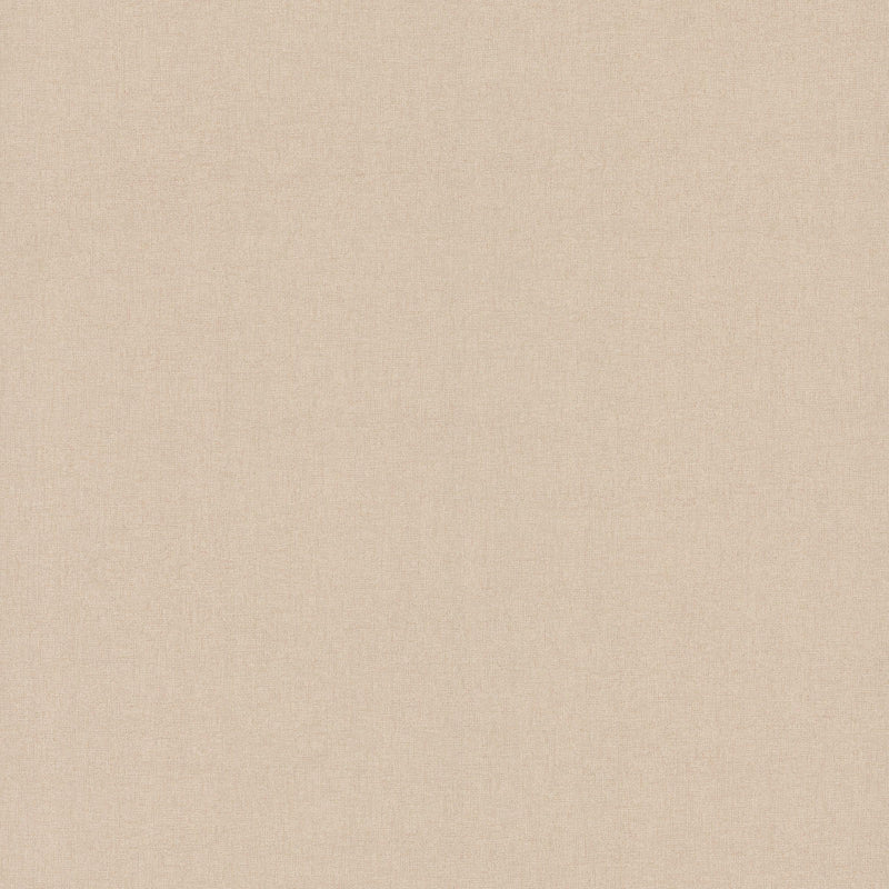 Wallpaper Gypsy Weave Wallpaper Sample // Beige 8 x 10 