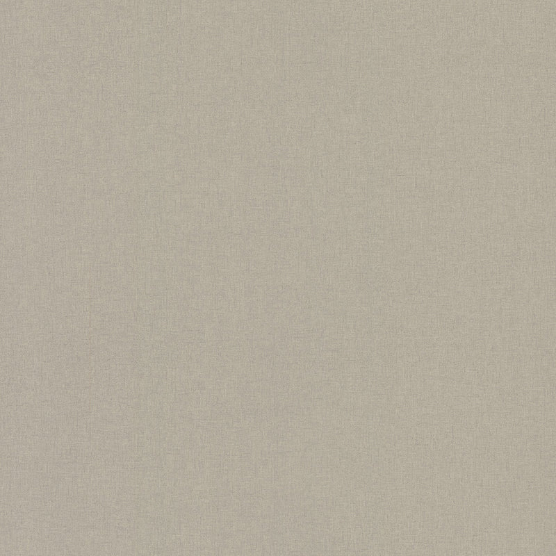Wallpaper Gypsy Weave Wallpaper Sample // Fossil 8 x 10 