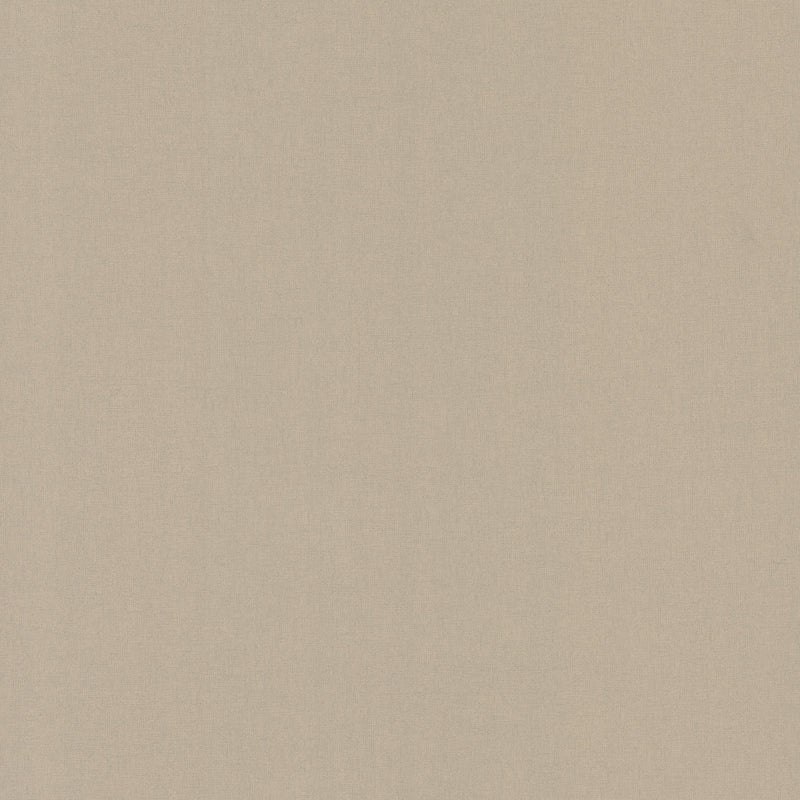 Wallpaper Gypsy Weave Wallpaper Sample // Light Brown 8 x 10 