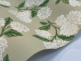 Wallpaper Hydrangea Wallpaper // Beige 