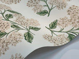 Wallpaper Hydrangea Wallpaper // Beige & Pink 