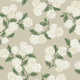 Wallpaper Hydrangea Wallpaper // Beige 