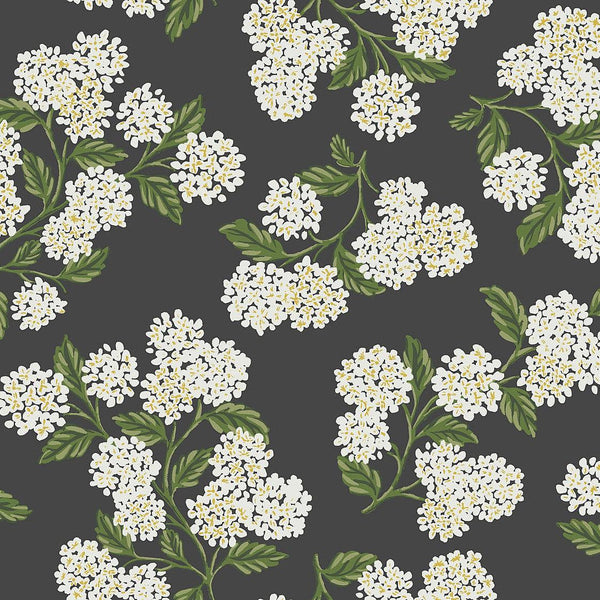 Wallpaper Hydrangea Wallpaper // Black & White 
