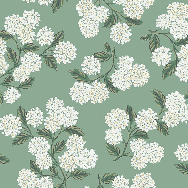 Wallpaper Hydrangea Wallpaper // Jade 