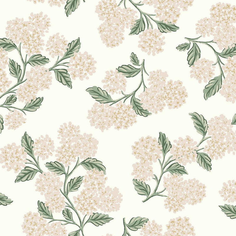 Wallpaper Hydrangea Wallpaper Sample // Beige & Pink 8 x 10 
