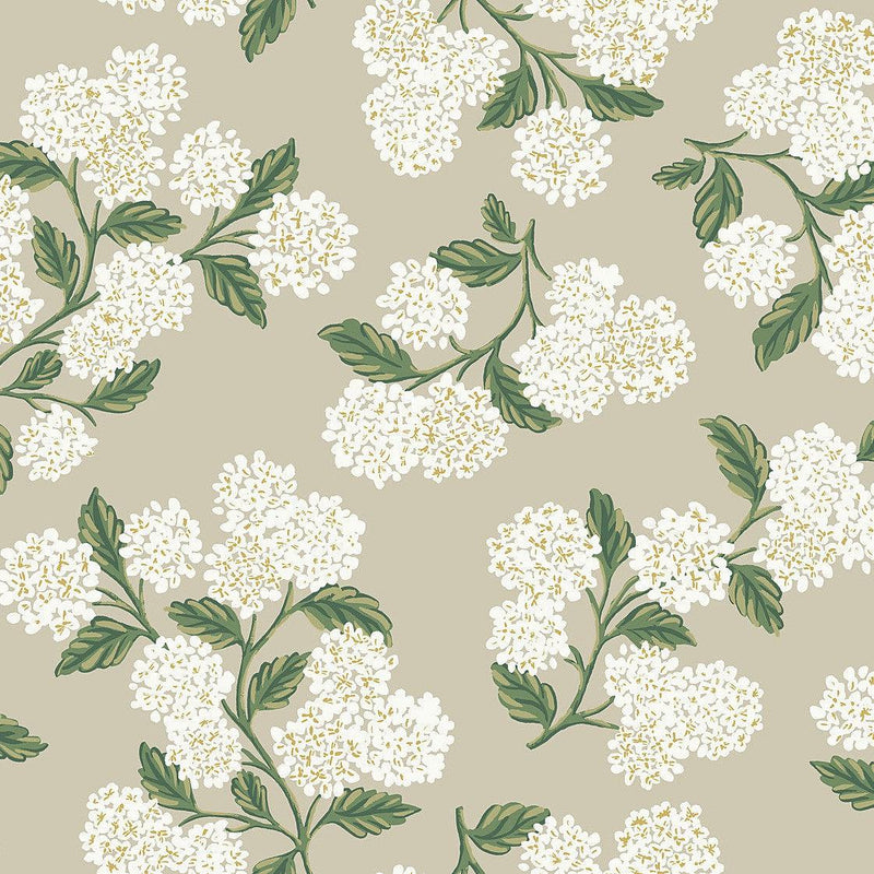 Wallpaper Hydrangea Wallpaper Sample // Beige 8 x 10 