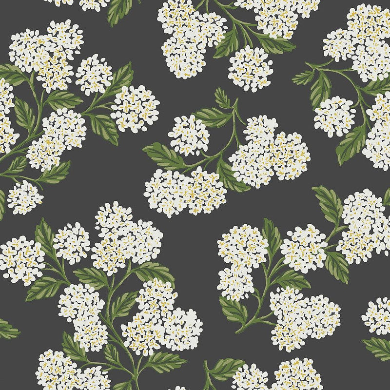 Wallpaper Hydrangea Wallpaper Sample // Black & White 8 x 10 