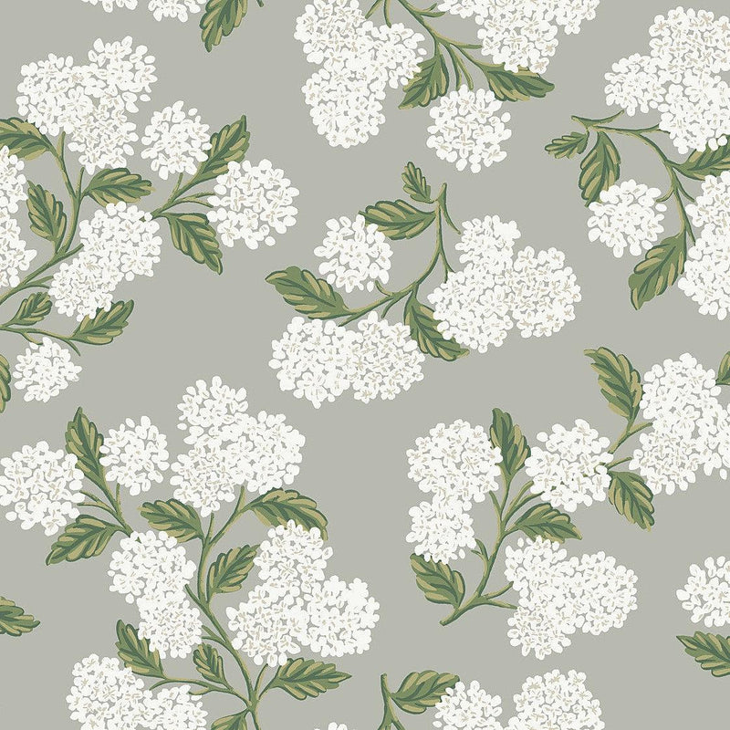 Wallpaper Hydrangea Wallpaper Sample // Grey 8 x 10 