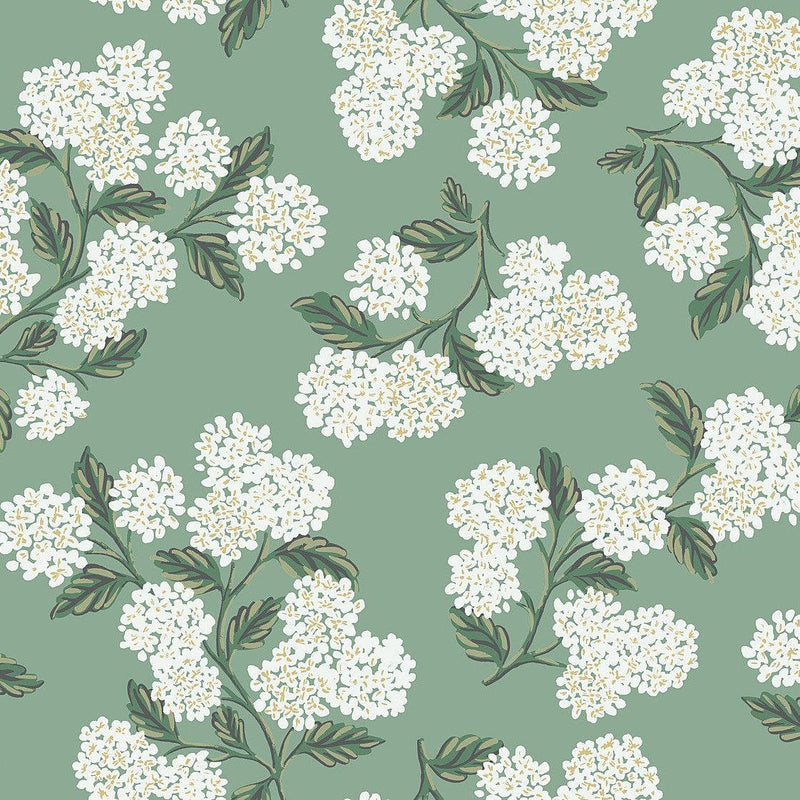 Wallpaper Hydrangea Wallpaper Sample // Jade 8 x 10 