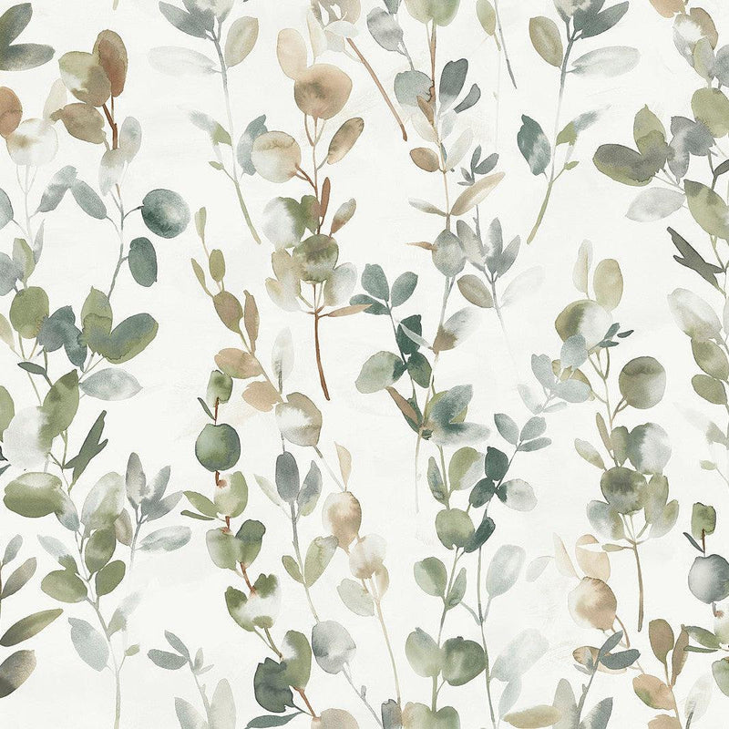 Wallpaper Joyful Eucalyptus Peel & Stick Wallpaper Sample // Green 8 x 10 