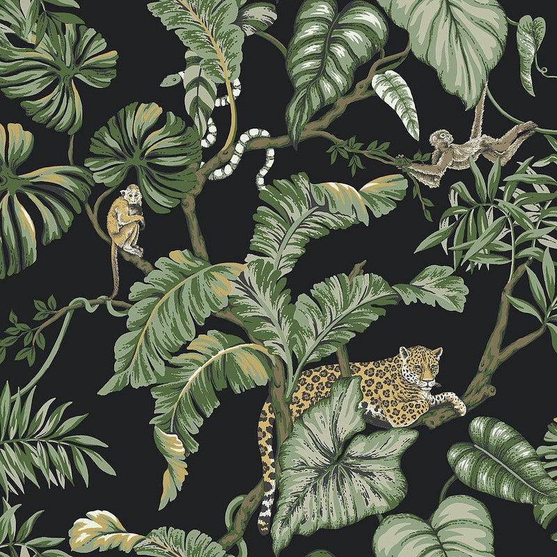 Wallpaper Jungle Cat Wallpaper Sample // Black 8 x 10 