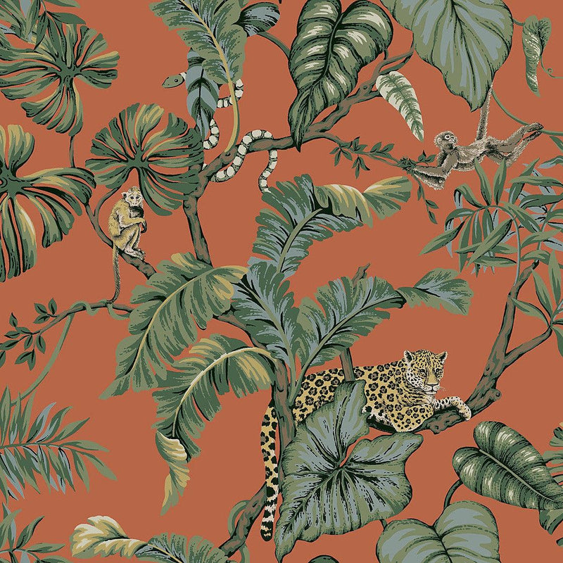 Wallpaper Jungle Cat Wallpaper Sample // Orange 8 x 10 