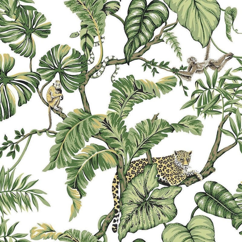 Wallpaper Jungle Cat Wallpaper Sample // White 8 x 10 