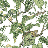 Wallpaper Jungle Cat Wallpaper // White 