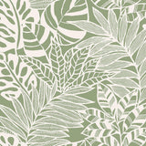 Wallpaper Jungle Leaves Wallpaper // Green 