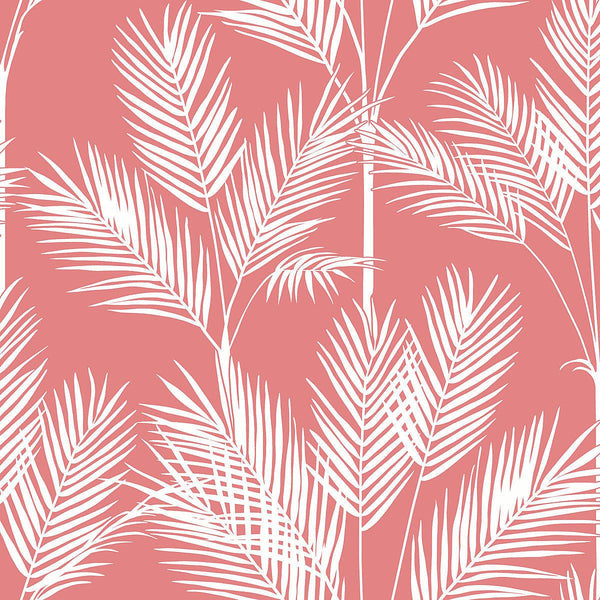 Wallpaper King Palm Silhouette Wallpaper // Coral 