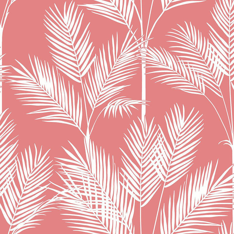 Wallpaper King Palm Silhouette Wallpaper Sample // Coral 8 x 10 