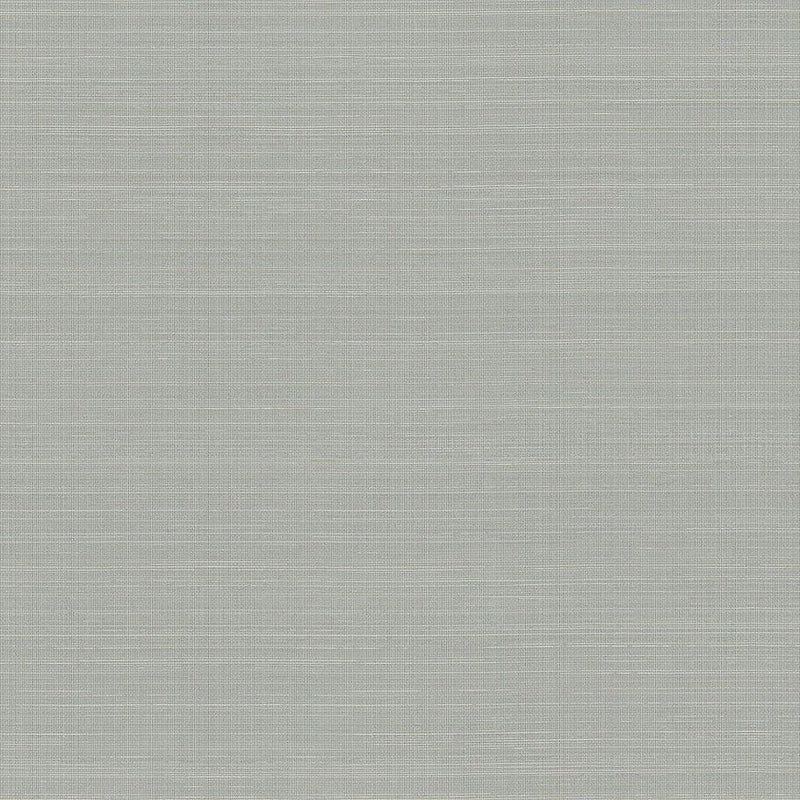 Wallpaper Laguna Abaca Peel & Stick Wallpaper Sample // Blue & Grey 8 x 10 
