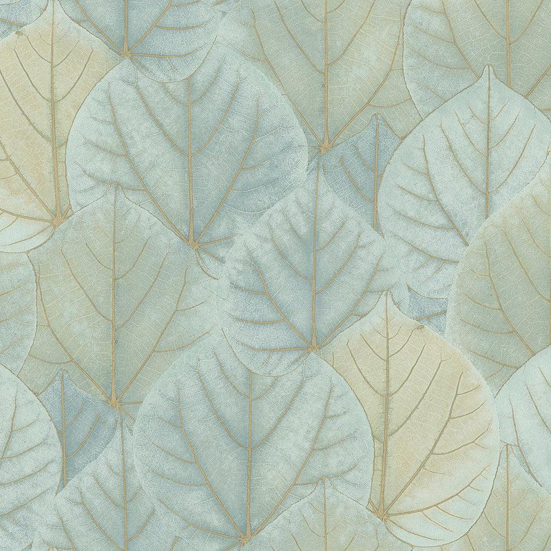 Wallpaper Leaf Concerto Peel & Stick Wallpaper Sample // Turquoise 8 x 10 