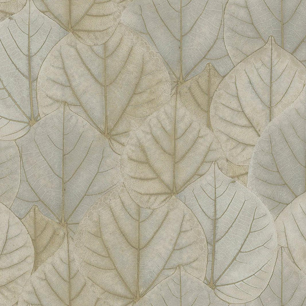 Wallpaper Leaf Concerto Peel & Stick Wallpaper Sample // Warm Taupe 8 x 10 