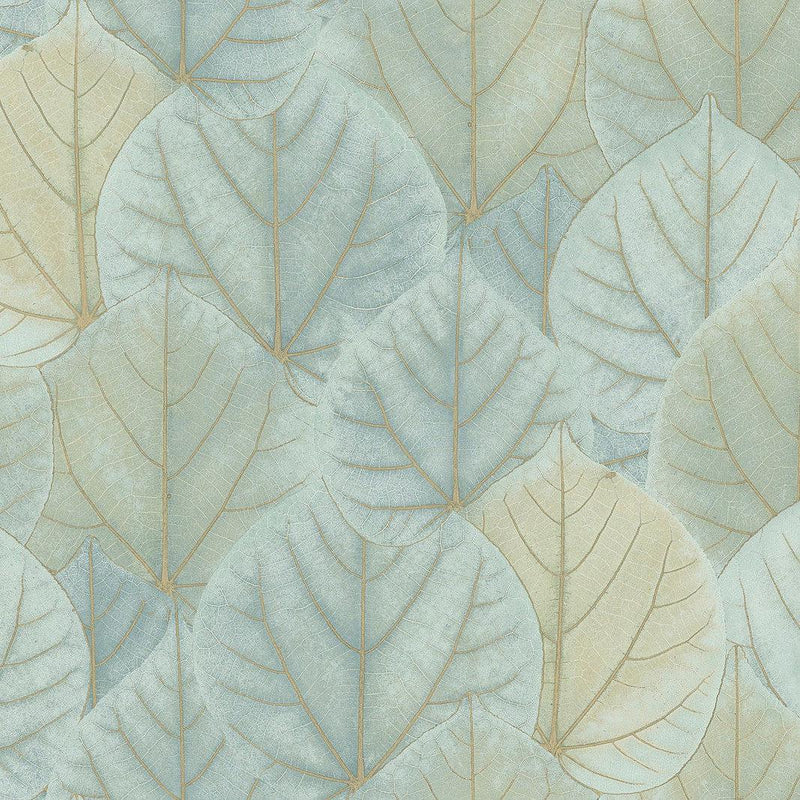 Wallpaper Leaf Concerto Peel & Stick Wallpaper // Turquoise 